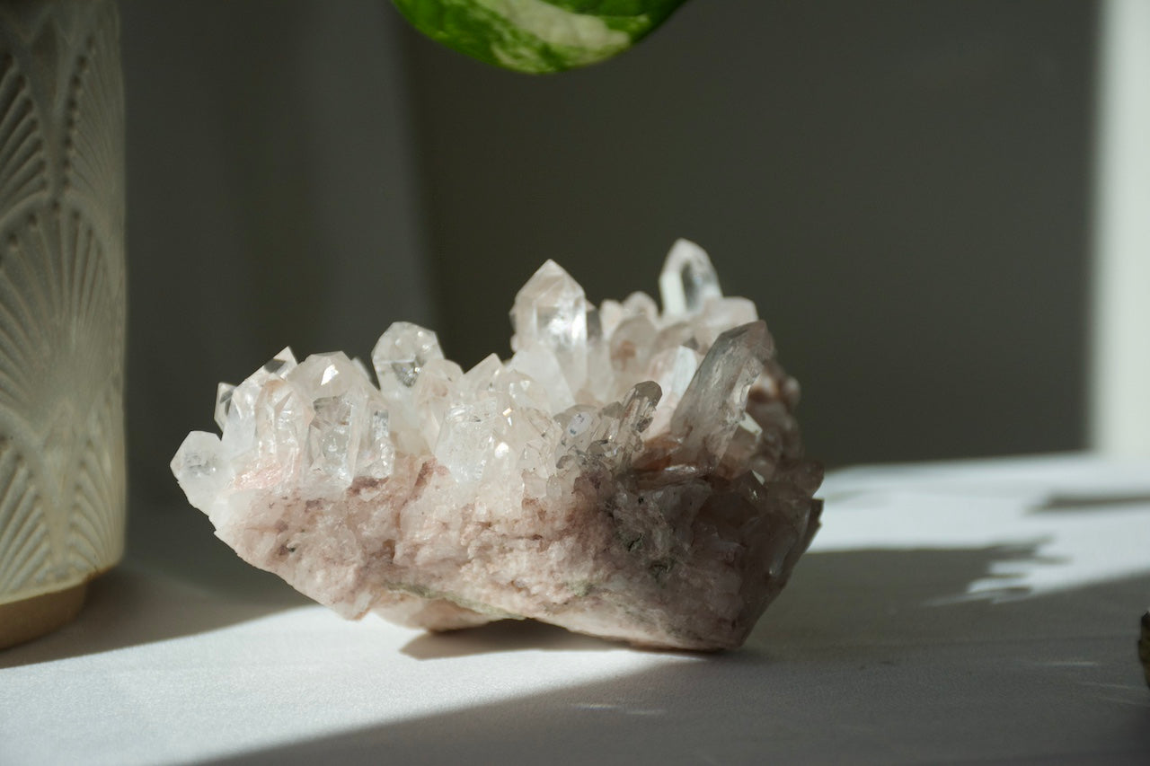 Sacred Pink Lemurian