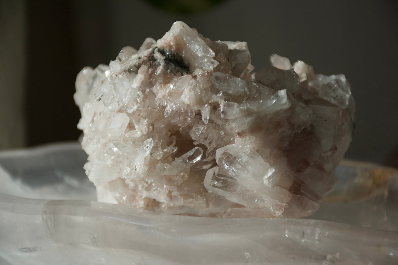 Sacred Pink Lemurian