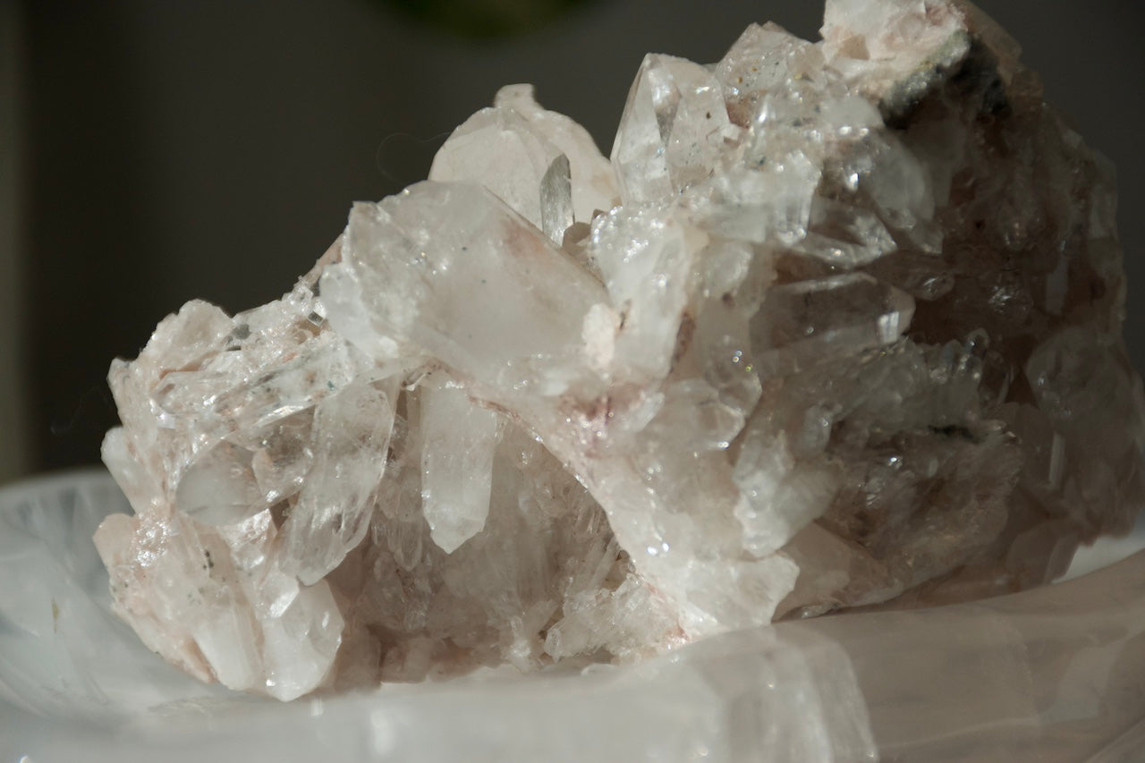Sacred Pink Lemurian