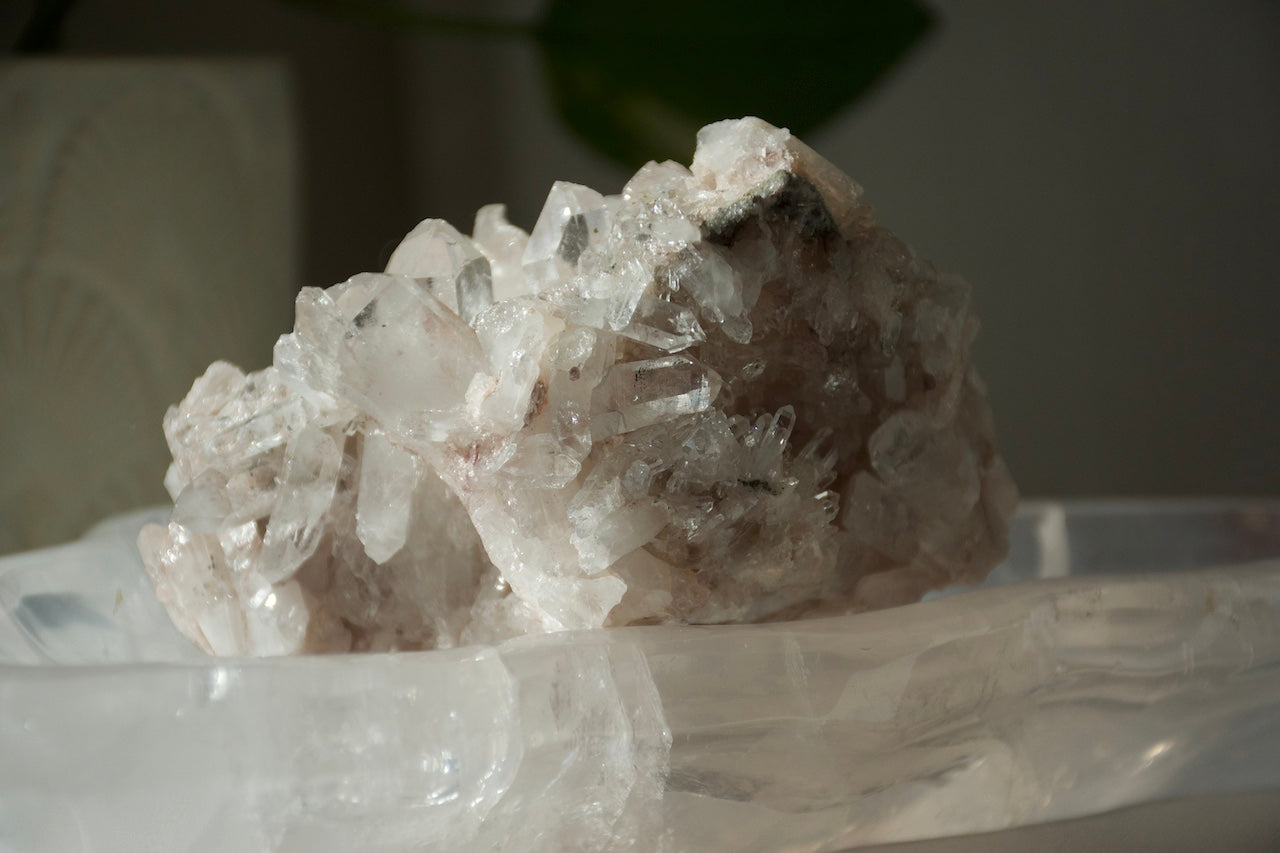 Sacred Pink Lemurian