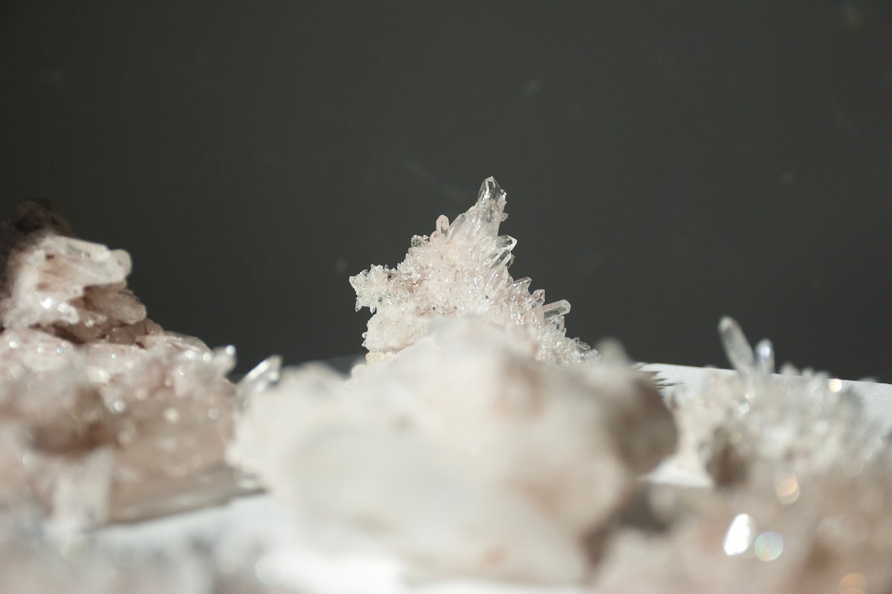 Sacred Pink Lemurian