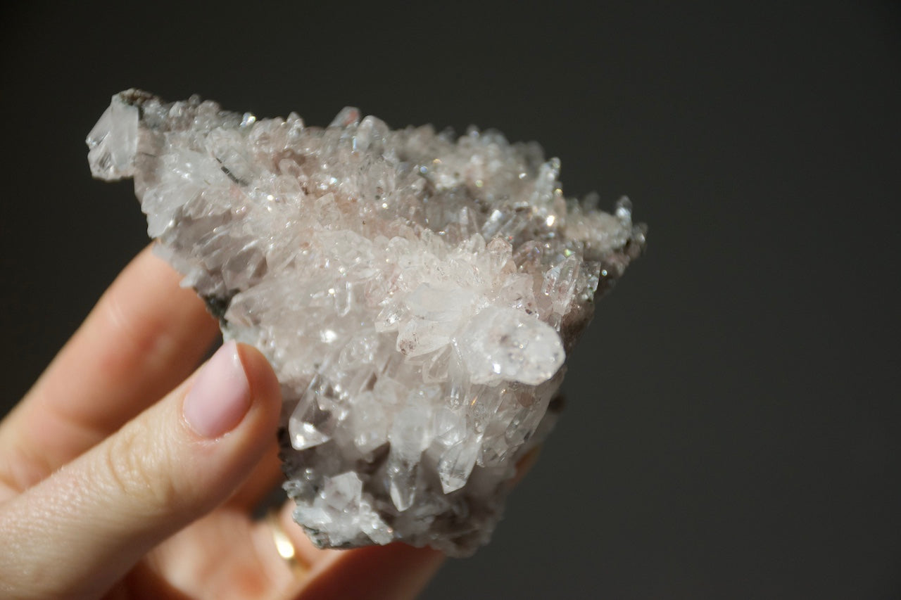 Sacred Pink Lemurian