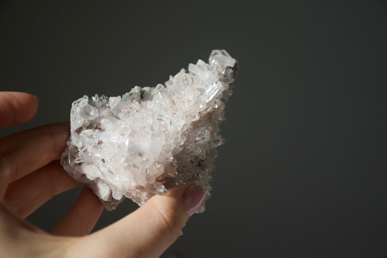 Sacred Pink Lemurian