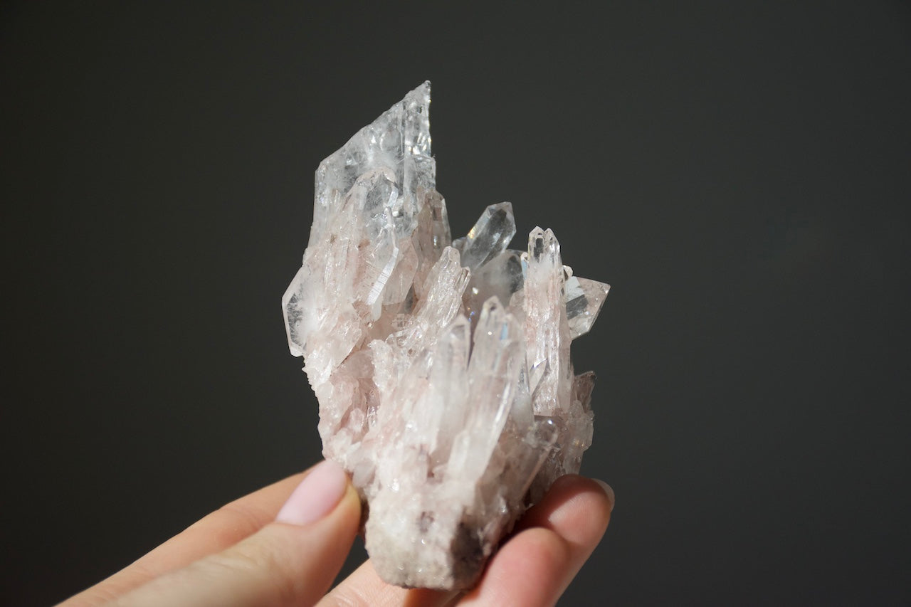 Sacred Pink Lemurian