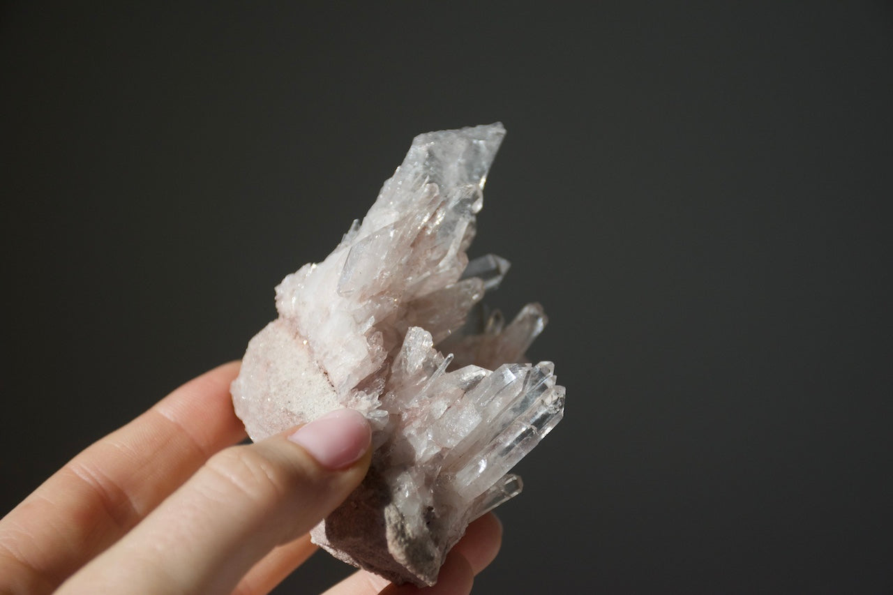 Sacred Pink Lemurian