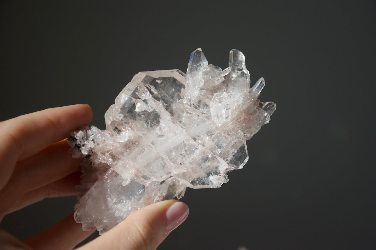 Sacred Pink Lemurian