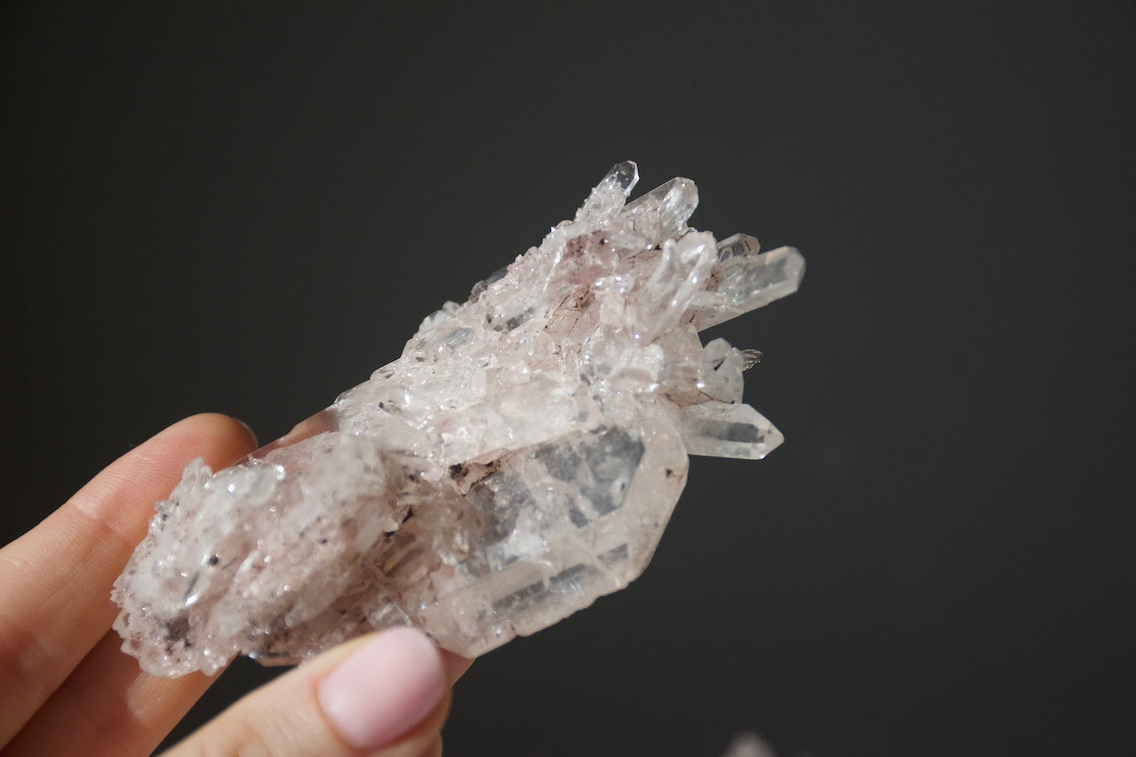 Sacred Pink Lemurian