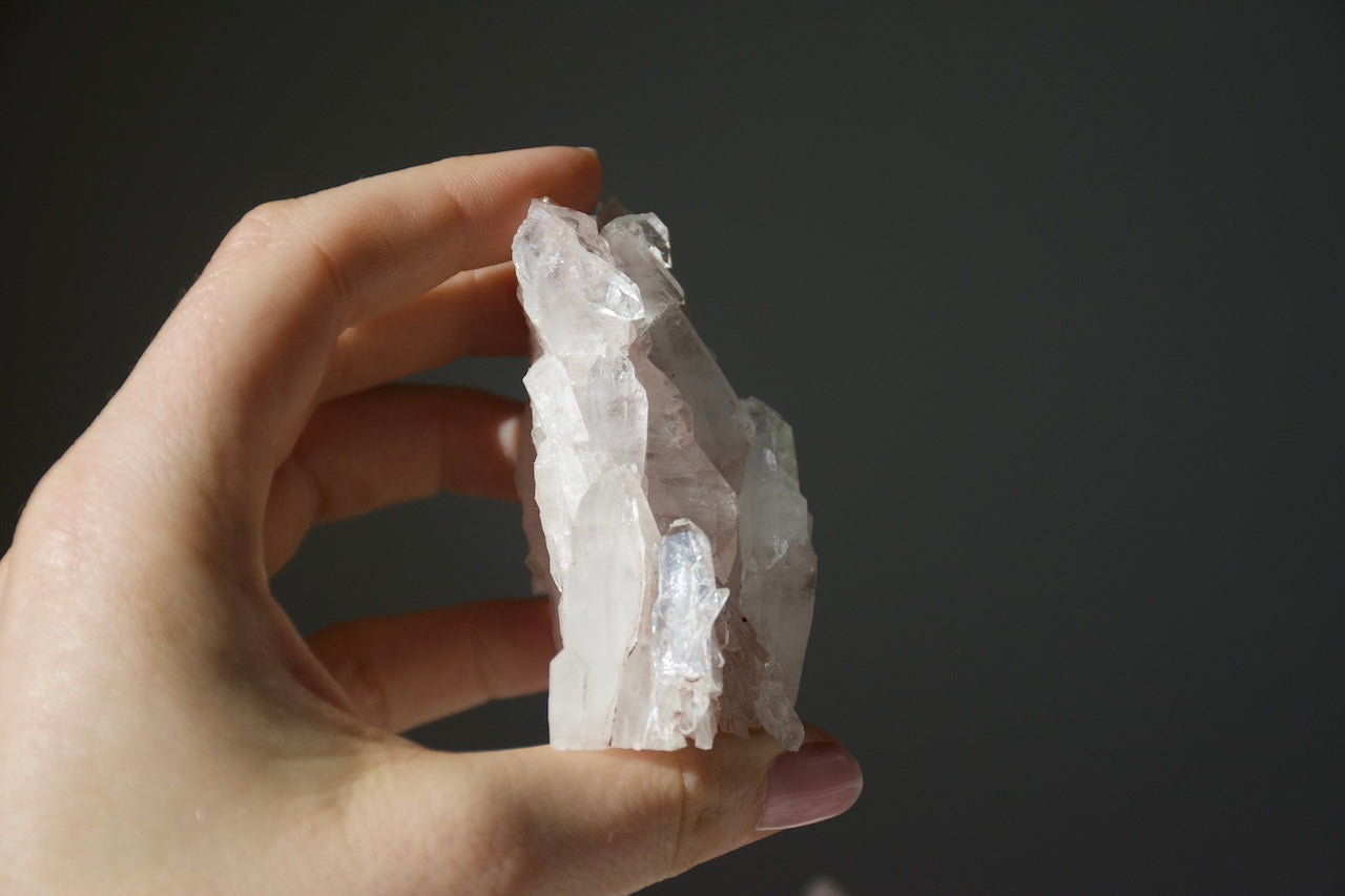 Sacred Pink Lemurian