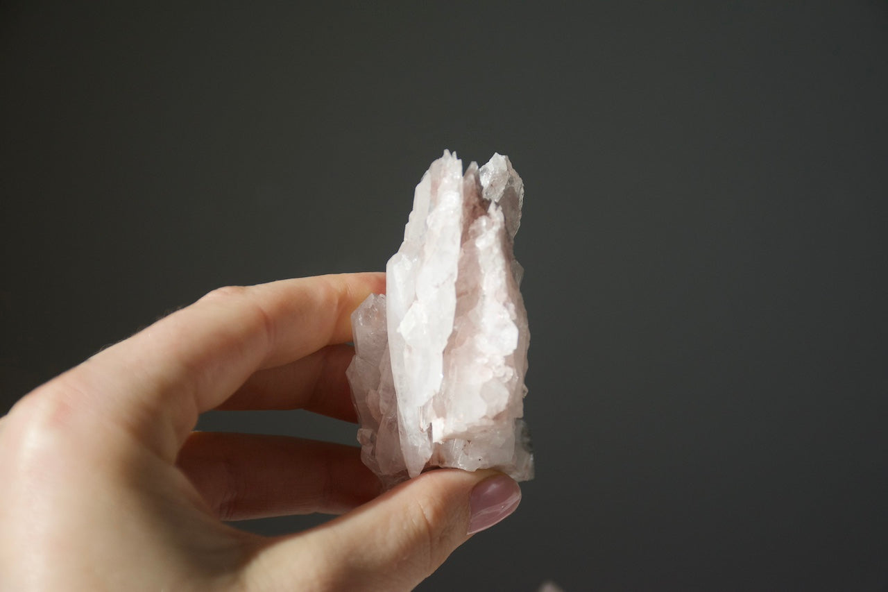 Sacred Pink Lemurian