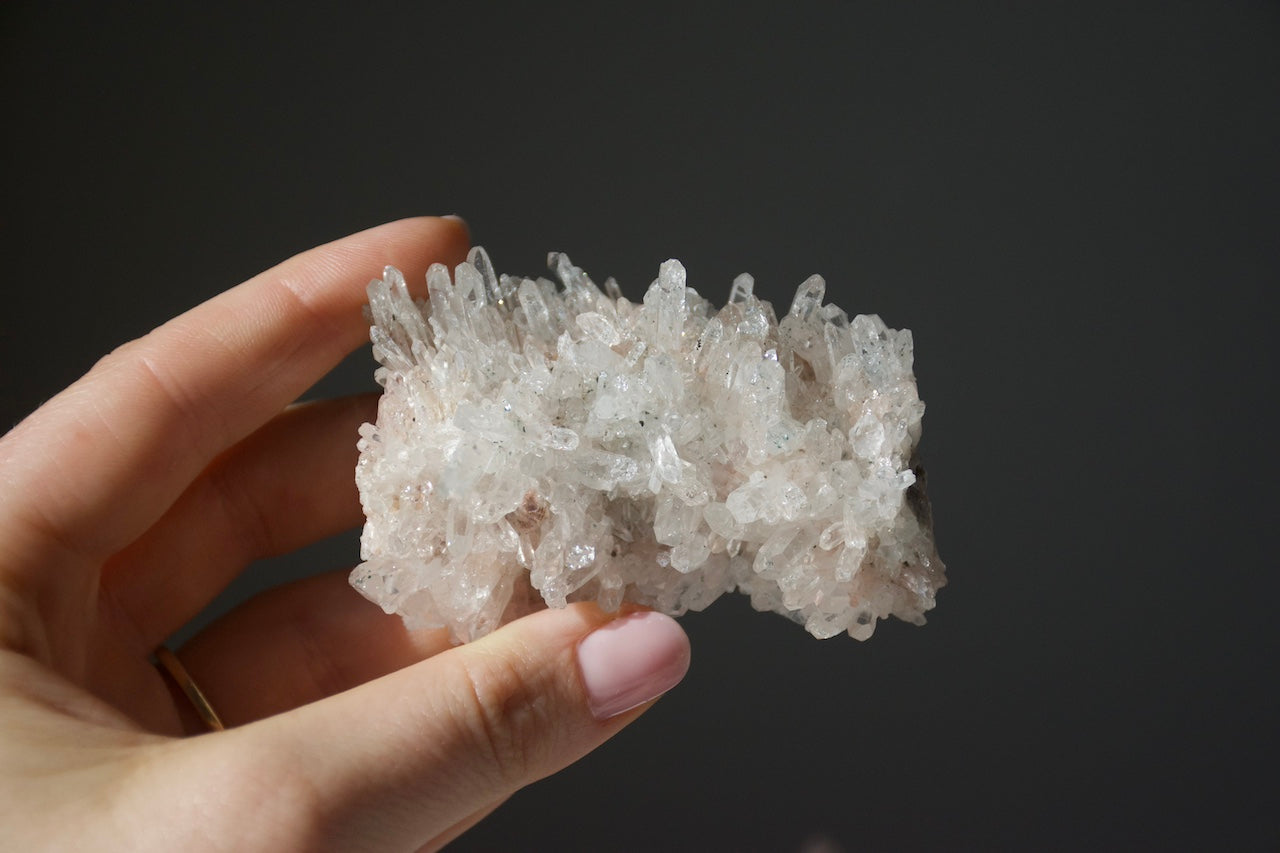 Sacred Pink Lemurian