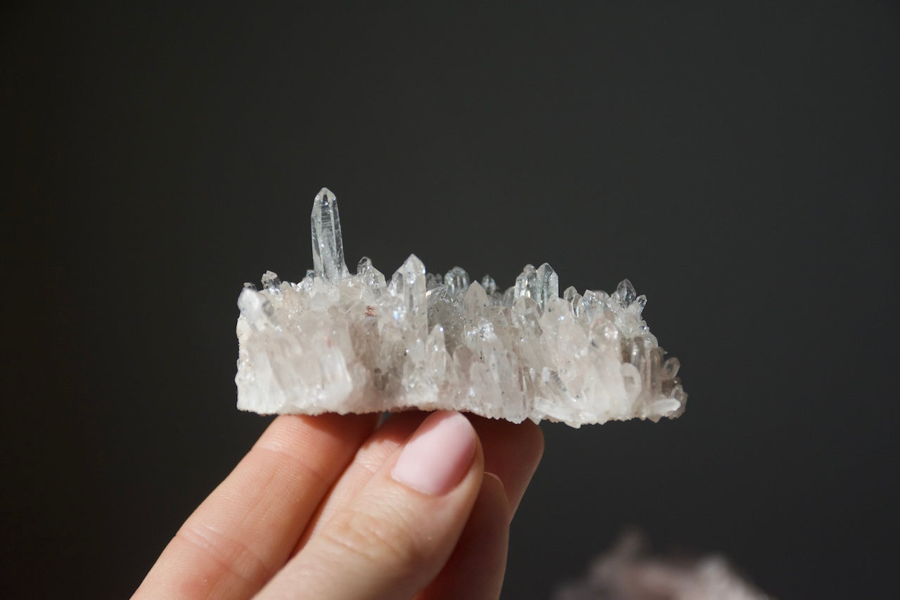 Sacred Pink Lemurian