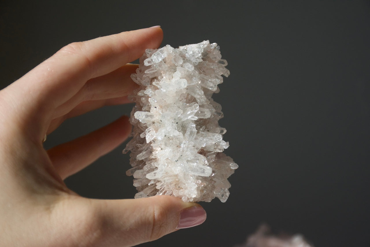 Sacred Pink Lemurian