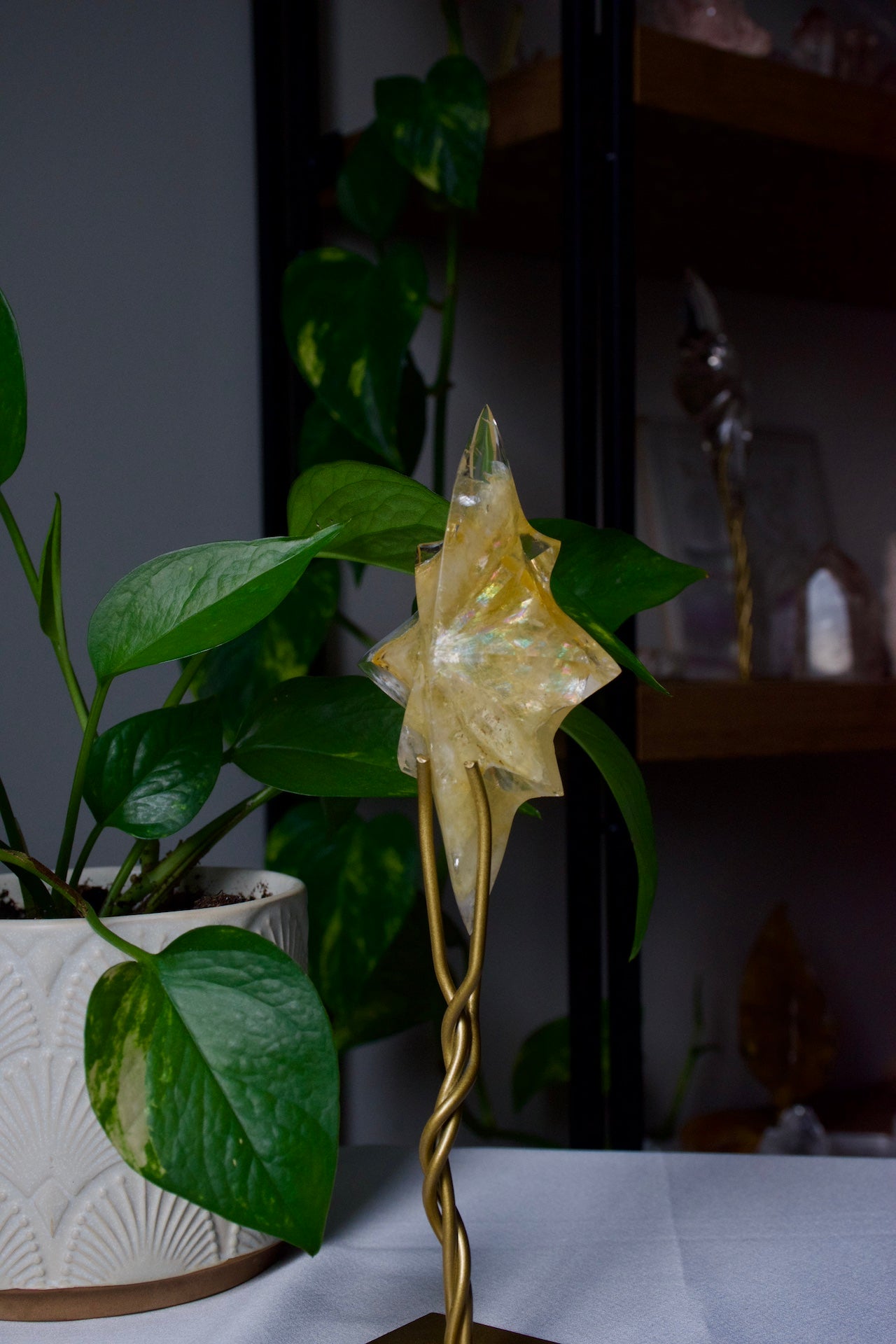 Golden Healer Quartz North Star