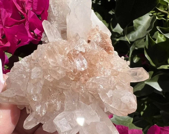 Pink Samadhi Himalayan Quartz