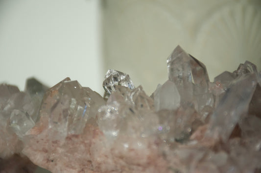 Sacred Pink Lemurian