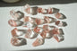 Scarlet Lemurian Half Polished Points