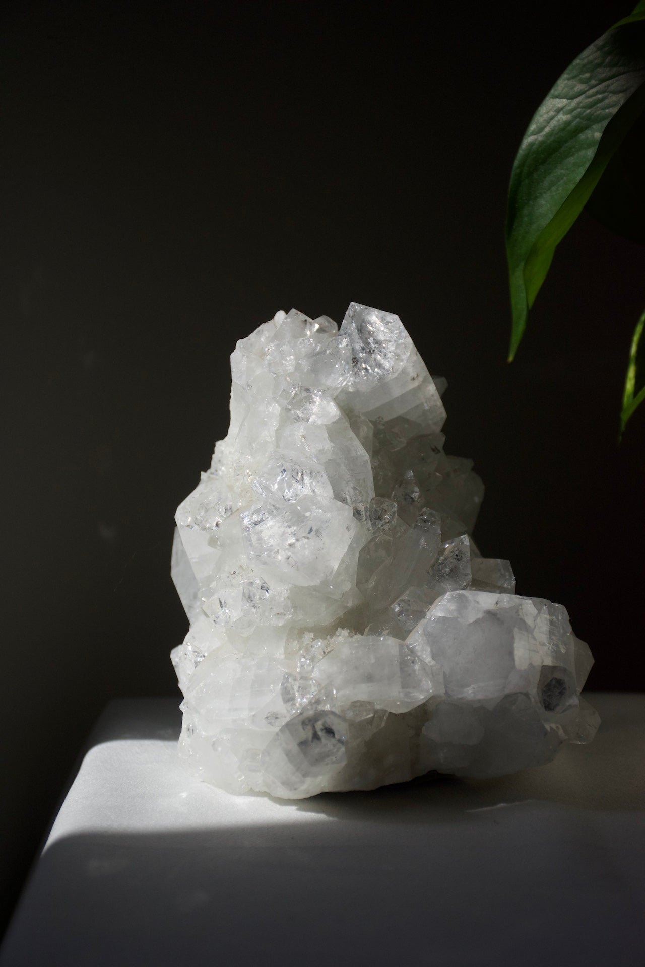 Apophyllite Cluster