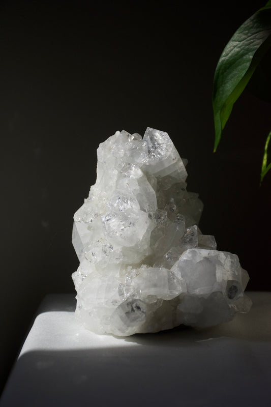 Apophyllite Cluster