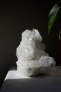 Apophyllite Cluster