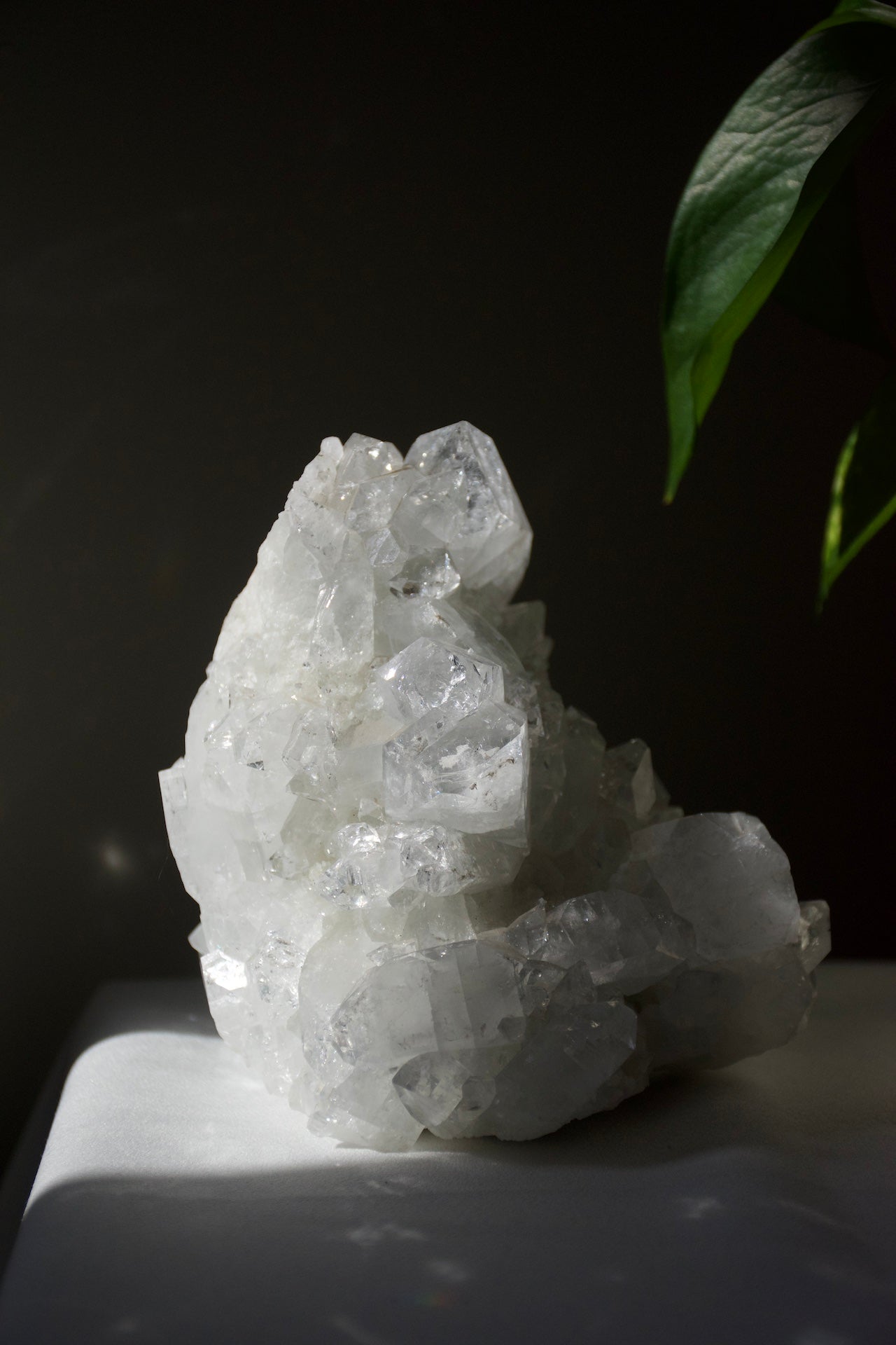 Apophyllite Cluster