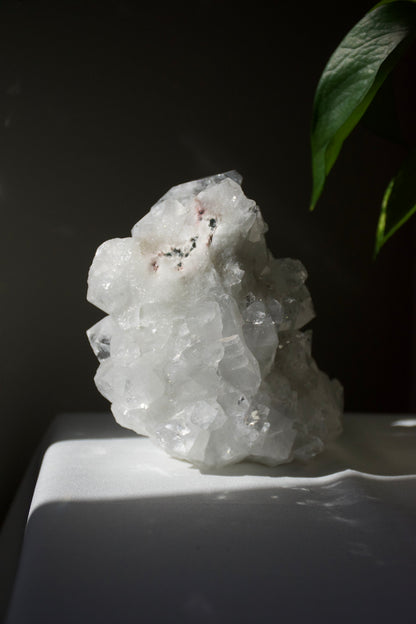 Apophyllite Cluster