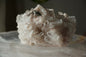 Sacred Pink Lemurian