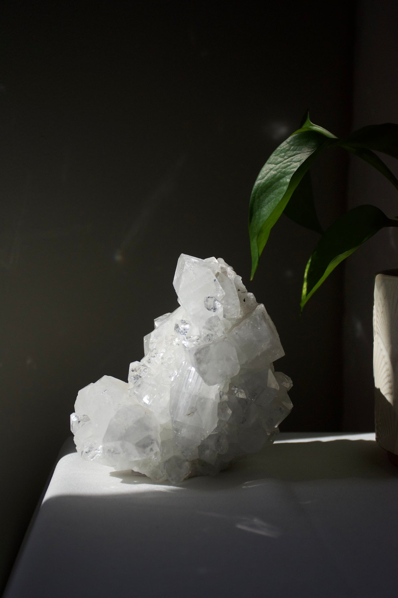 Apophyllite Cluster