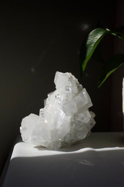 Apophyllite Cluster