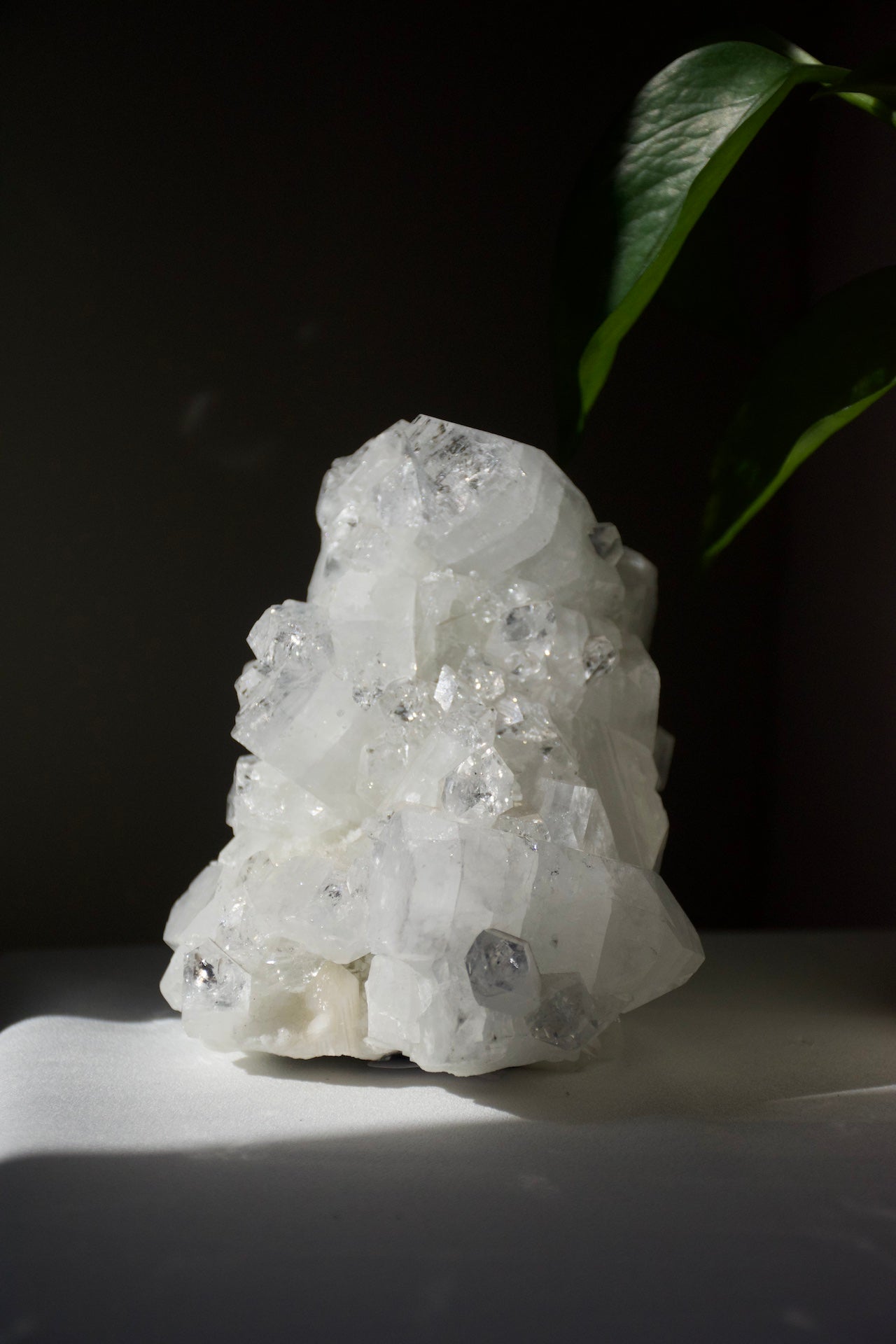 Apophyllite Cluster