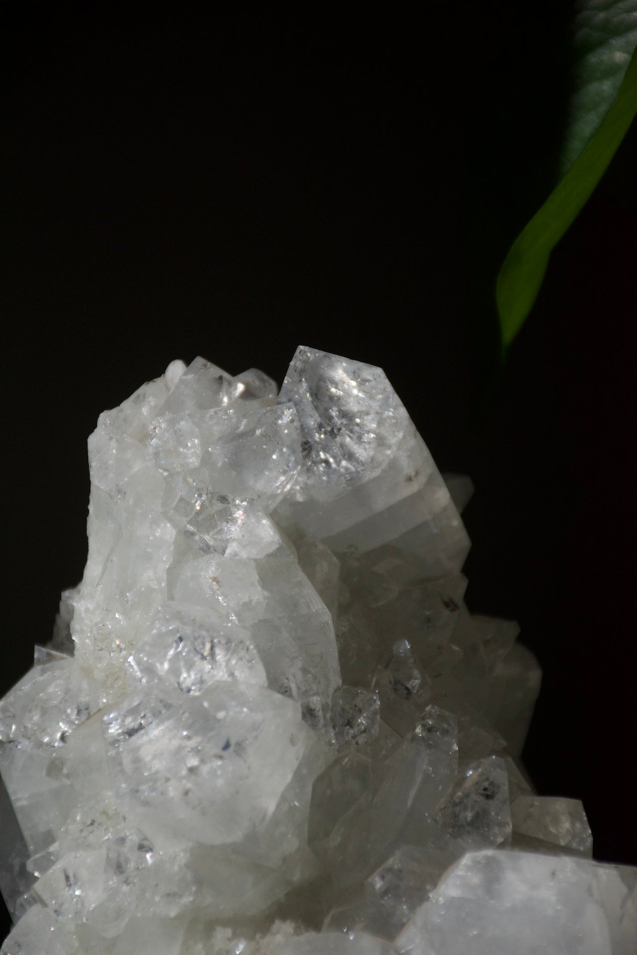 Apophyllite Cluster