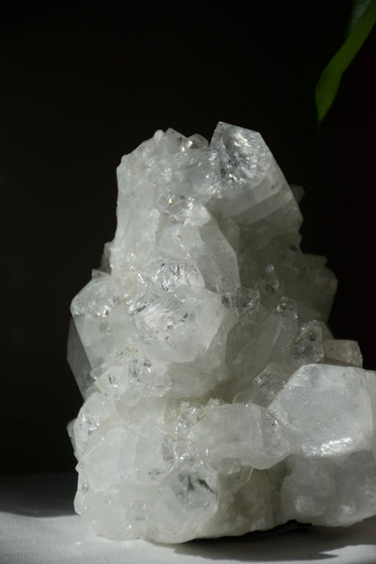 Apophyllite Cluster