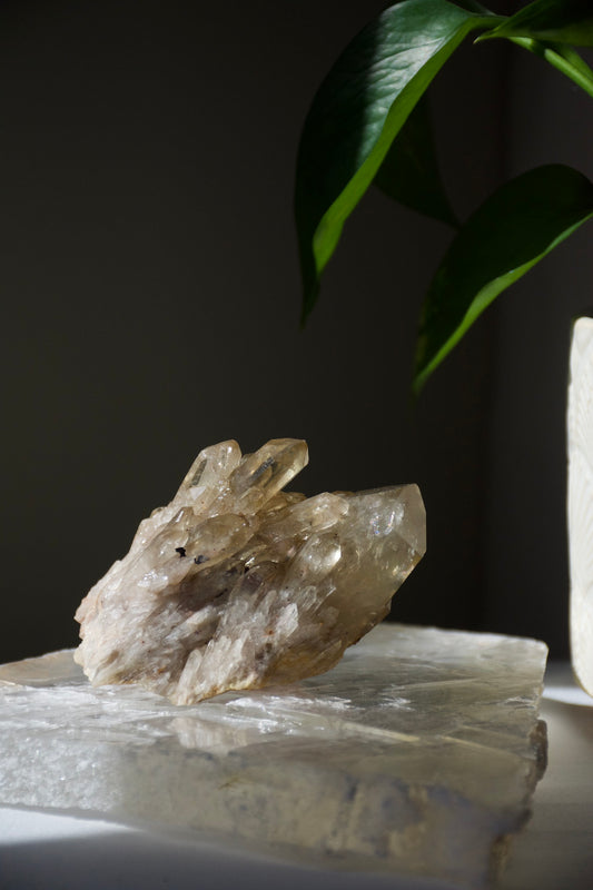 Kundalini Citrine