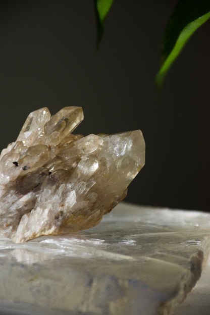 Kundalini Citrine