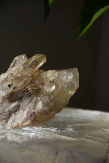 Kundalini Citrine