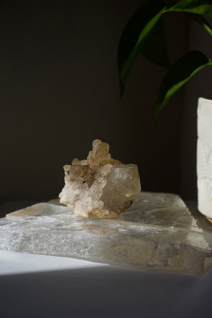 Kundalini Citrine