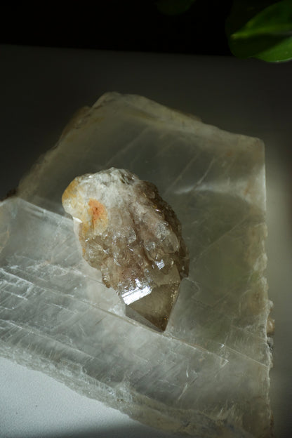 Kundalini Citrine