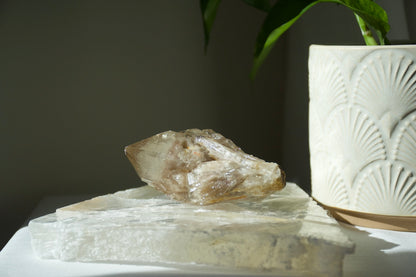 Kundalini Citrine