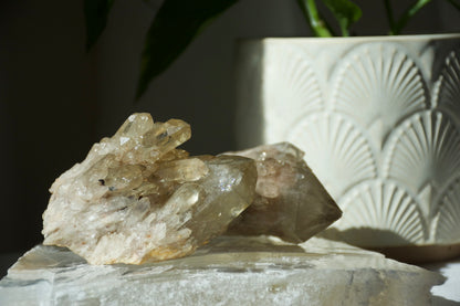 Kundalini Citrine