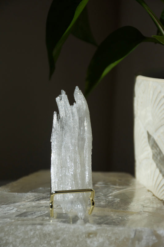 Selenite Horn