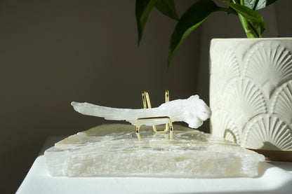 Selenite Horn