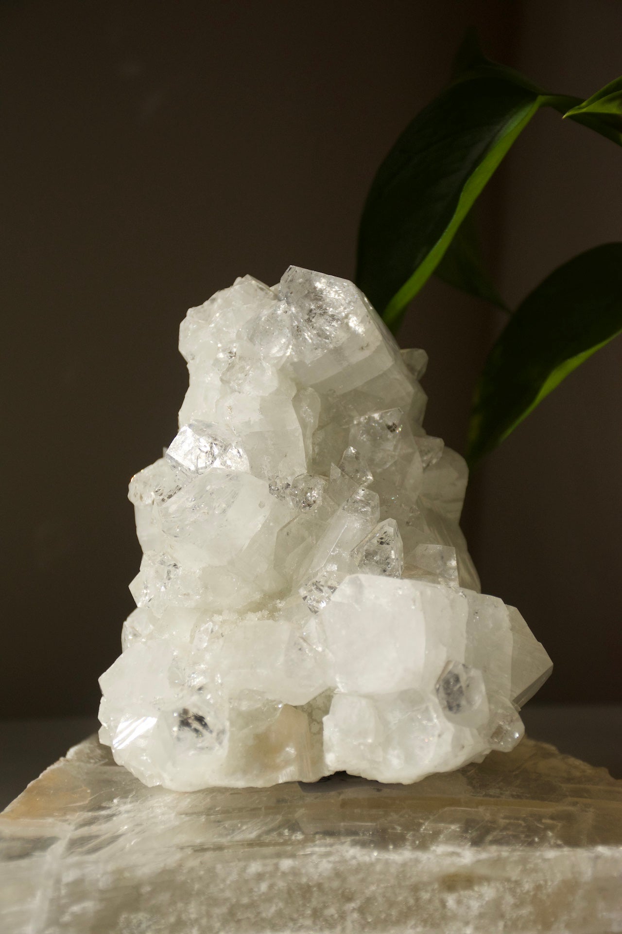 Apophyllite Cluster
