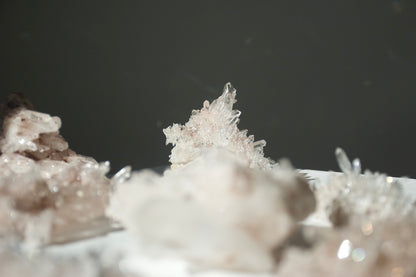 Sacred Pink Lemurian