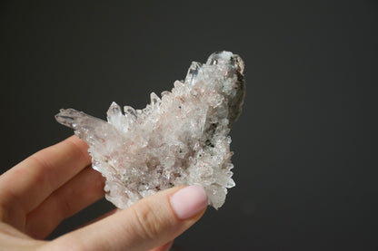 Sacred Pink Lemurian