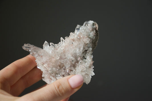 Sacred Pink Lemurian