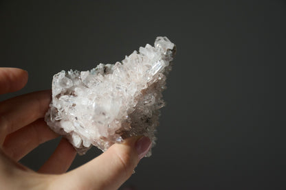 Sacred Pink Lemurian