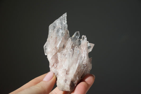 Sacred Pink Lemurian