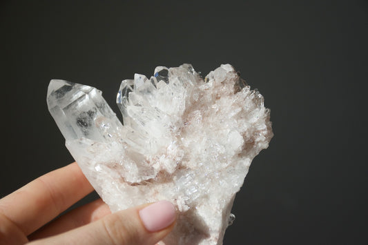 Sacred Pink Lemurian