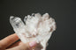 Sacred Pink Lemurian