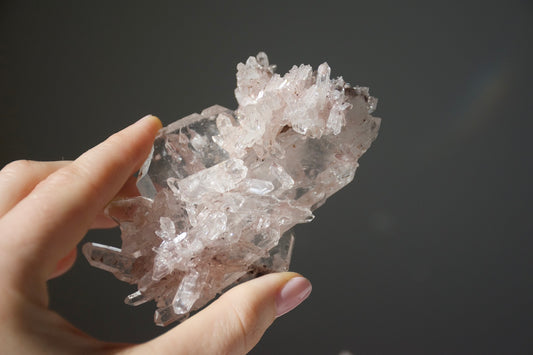 Sacred Pink Lemurian