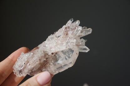 Sacred Pink Lemurian